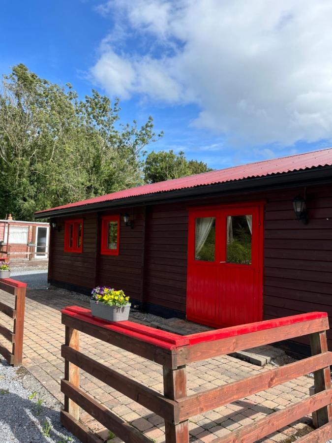 Red squirrel lodge Galway Exterior foto