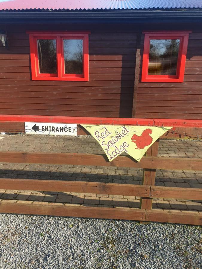 Red squirrel lodge Galway Exterior foto