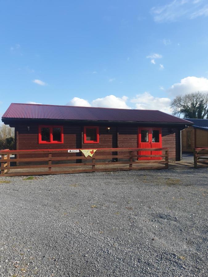 Red squirrel lodge Galway Exterior foto