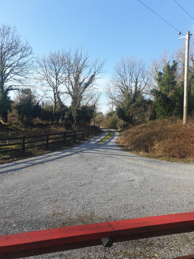 Red squirrel lodge Galway Exterior foto