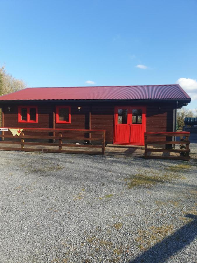 Red squirrel lodge Galway Exterior foto