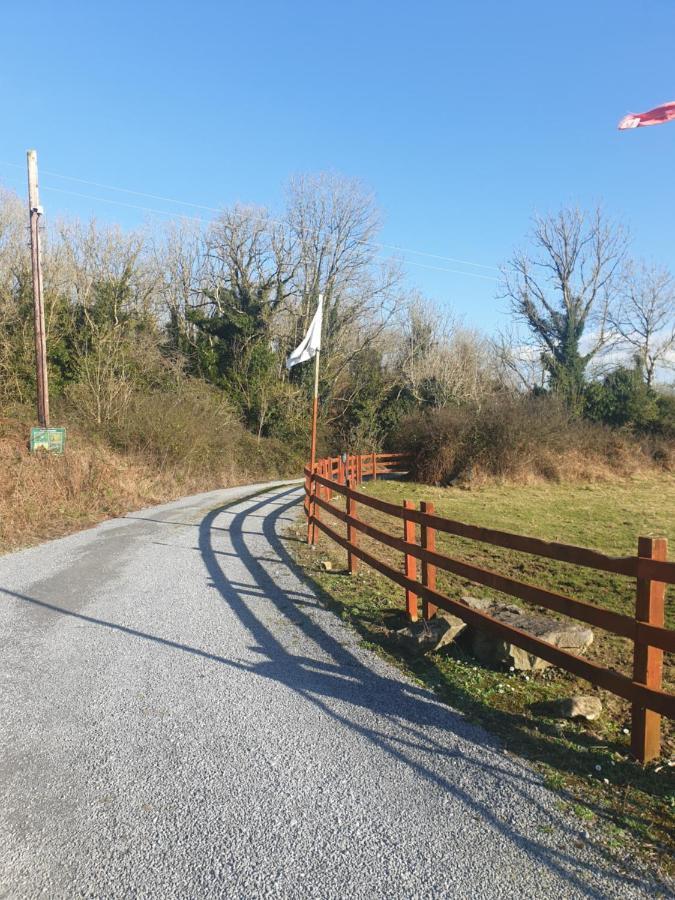 Red squirrel lodge Galway Exterior foto