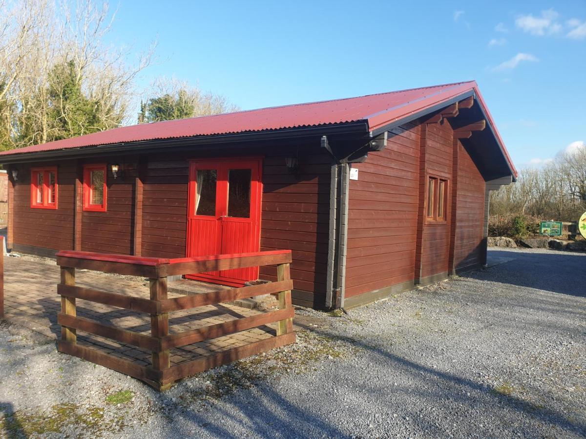 Red squirrel lodge Galway Exterior foto