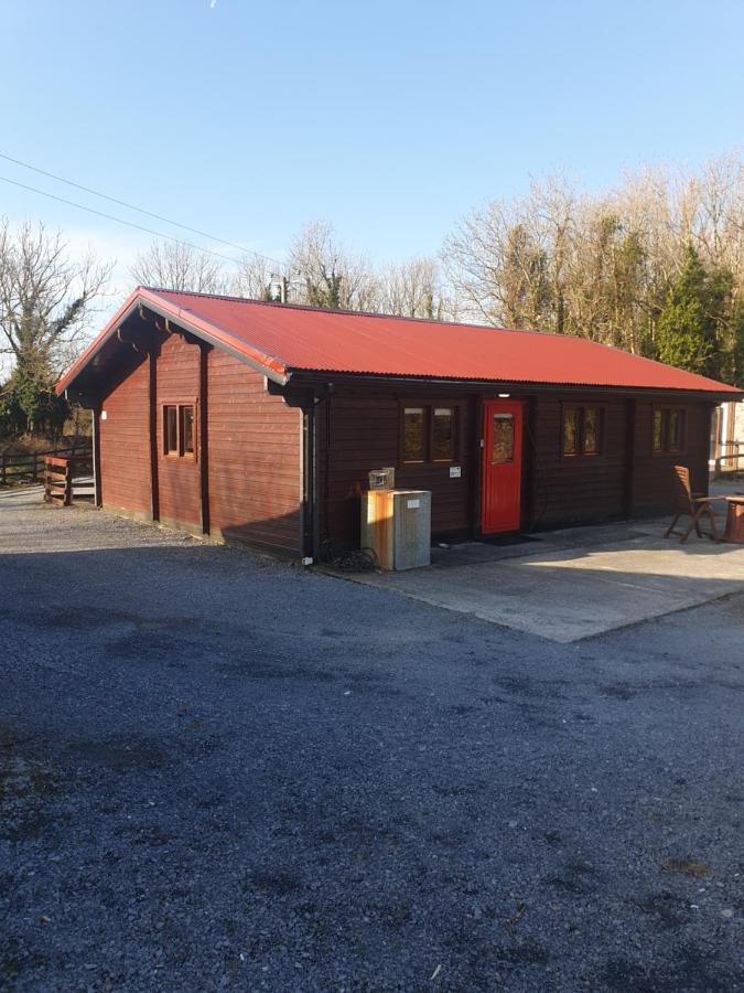 Red squirrel lodge Galway Exterior foto