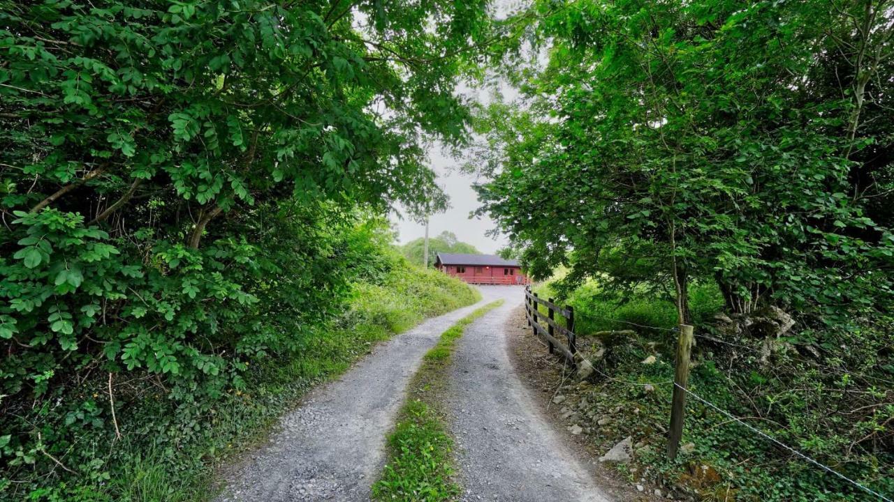 Red squirrel lodge Galway Exterior foto